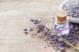 Lavender Migraine Relief Natural Remedy